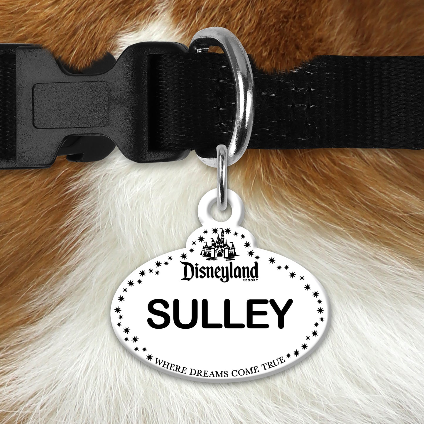 🏰 Personalized DL-Inspired Pet ID Tag – Custom Dog & Cat Name Tag with Contact Info – Durable Acrylic Resin Collar Tag