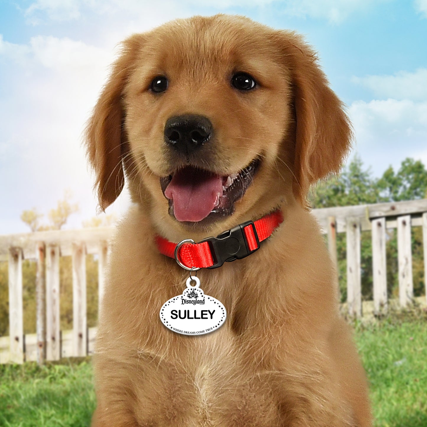 🏰 Personalized DL-Inspired Pet ID Tag – Custom Dog & Cat Name Tag with Contact Info – Durable Acrylic Resin Collar Tag