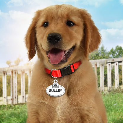 🏰 Personalized DL-Inspired Pet ID Tag – Custom Dog & Cat Name Tag with Contact Info – Durable Acrylic Resin Collar Tag