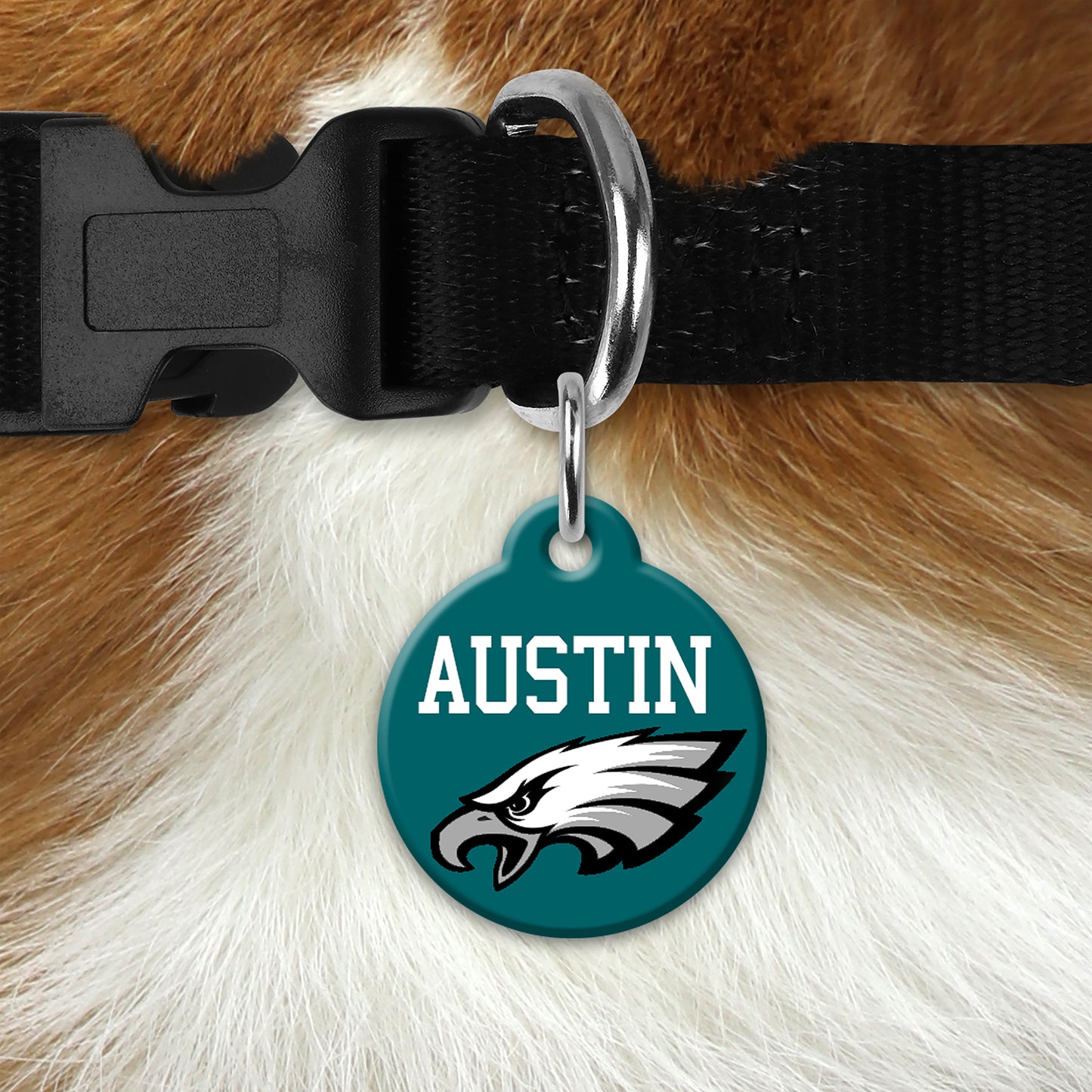 🦅🏈 Personalized Mean Green Pet ID Tag – Custom Dog & Cat Name Tag with Contact Info – Durable Acrylic Resin Collar Tag for Football Fans