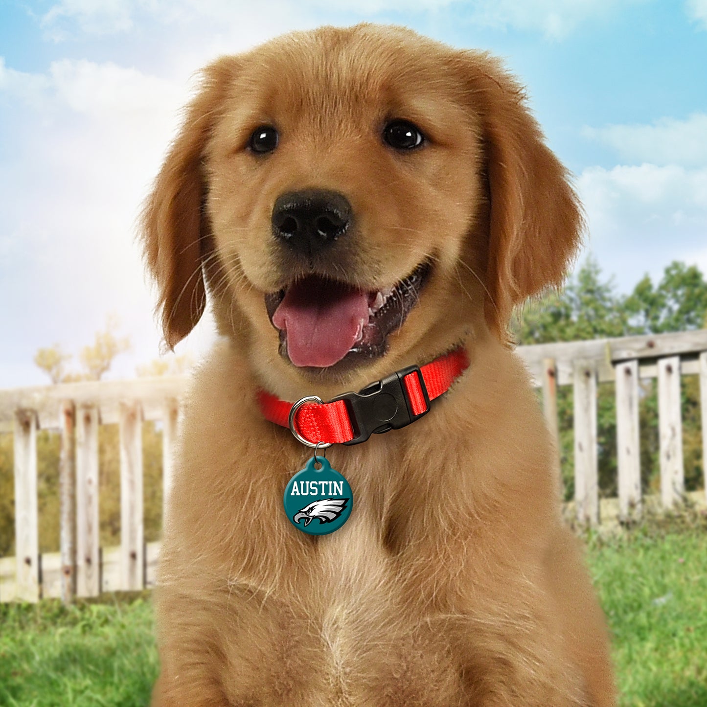 🦅🏈 Personalized Mean Green Pet ID Tag – Custom Dog & Cat Name Tag with Contact Info – Durable Acrylic Resin Collar Tag for Football Fans
