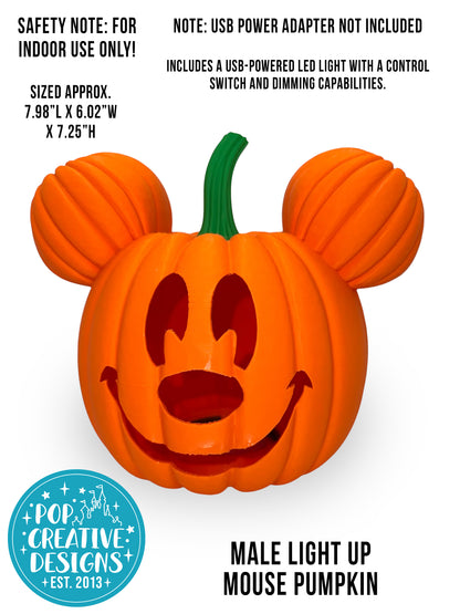 🎃🎀 COMBO SET Light Up Mouse Pumpkin Male and Female | Halloween LED Decor